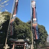 再び飯玉神社様へ〜桜を探して3