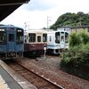 ローカル線訪問　天竜浜名湖鉄道に乗ってローカルな駅で昼食を取る
