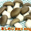 中毒になるほど美味しいと評判 大黒本しめじ 800g 訳あり  京都 丹波 京野菜 瑞穂農林 有名youtuberも紹介