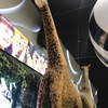 室内で自然を大満喫！Orbi横浜に行ってきた🦒