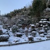 今日は今シーズン初の積雪でした。