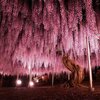 さて・・夜道を自転車で、閉店間際のスーパーに駆け込んでみるか。何か半額あるかな。。