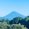 今朝の景色