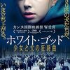 観た後に、誰かに話したくなる映画 10選！「ホワイト・ゴッド 少女と犬の狂詩曲」（2014）の巻