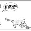 猫と暮らすのは知恵比べ