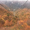 【谷川岳の紅葉】いつが旬？混雑状況は？10月下旬に王道ルートで登山してみた！