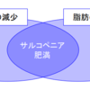 長生きの秘訣は筋トレにある