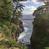 へなちょこ夫婦のハイキング（伊豆 城ヶ崎）