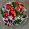 冬の庭からの贈り物・・・赤い花と実を使って本日のモイスト・ポプリ