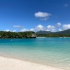 【旅】石垣島から西表島、竹富島に行きました