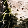 インド③　アーメダバードの階段井戸