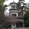 尾山神社の梅が咲いてました！