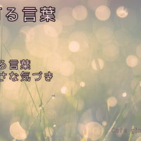 心に灯る言葉｜迷ったときに読みたい人生の小さな灯り