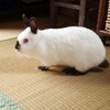 【日記】がん患者がコロナワクチン接種してきた話といろいろ