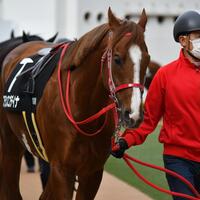 Uaeダービー21 出走予定馬 日程 賞金 今年も日本馬が世界を驚かす