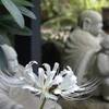 常泉寺の秋景色（２）