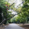 今日のアーサナ・プラクティス🧘‍♀️🧘‍♀️🧘‍♀️