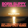 Born Slippy : Sugiurumn feat. Tomomi Ukumori