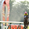 競馬　2019/05/12　東京競馬 第8日　予想