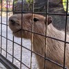 バイクで訪園館：楽寿園