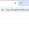 CGI::checkbox
