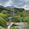 水無川を歩く【秦野】