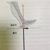 『前脛骨筋を入れて踵から歩く』転倒予防・踵重心・骨盤後傾を前脛骨筋を意識して行います！！クライマー・武術家・一般の方にもオススメ！腰痛予防にも効果的です。身体の使い方series 37でした。