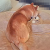 GWに片足突っ込む、だよ