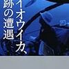 ダイオウイカ、奇跡の遭遇