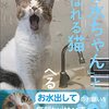 Twitterで大人気の猫「お水ちゃん」写真集発売