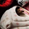 今朝は寒いです。