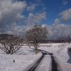 NYでも大雪らしい