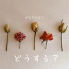 そうだ。記念に何しようか。という話。