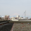 森ヶ崎屋上営巣地春の整備作業が終わりました。