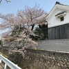 桜も開花し始めて、春がすぐそこまで来たようです。