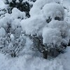 大雪だぁ〜