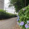 乗り物を楽しむ　王子飛鳥山から早稲田