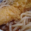 いか天ぷらうどん