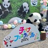 チャイナフェスティバル2024ボランティア体験：ゴミ拾いから感じた日中友好の光と影