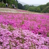 秩父の芝桜で有名な「羊山公園」と池袋で開催していた「食の大北海道展」と上野公園