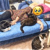妻がソファベッドで横になったら三猫が集結｜何も起きない休日が幸せ（笑）