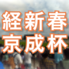 【過去から学ぶ】 日経新春杯と京成杯の振り返り！