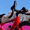 REC-MOUNTSでGarminとCycliq Fly12CEを装着 - BMC Crossmachine 01 TWO の場合