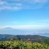 絶景、楽ちんな山登り。伊豆の達磨山へ