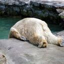 理学療法士の文献整理棚