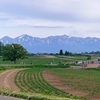 北海道からのお願い