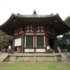 訪れた興福寺は工事中の柵や幕で覆われ、地面は調査のためか掘り返され、シートで覆われていました。
