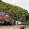 2025/03/11 1063レ EF81 404号機