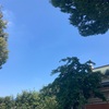 本