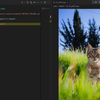 【VSCode】Pythonコードのデバッグ中に画像の入った変数を可視化できる拡張機能を試した
